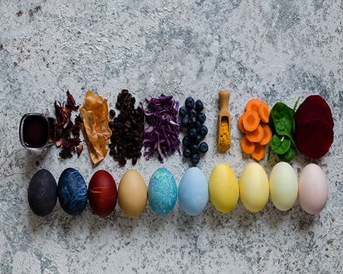 What is Food Coloring?